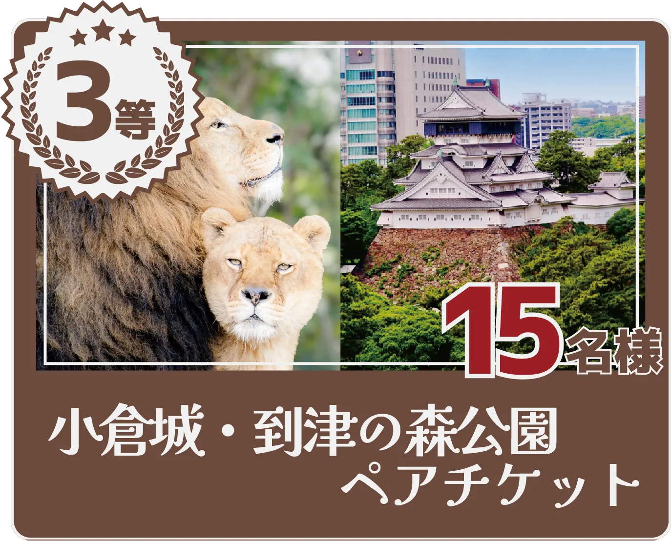 ３等　小倉城・到津の森公園ペアチケット　15名様
